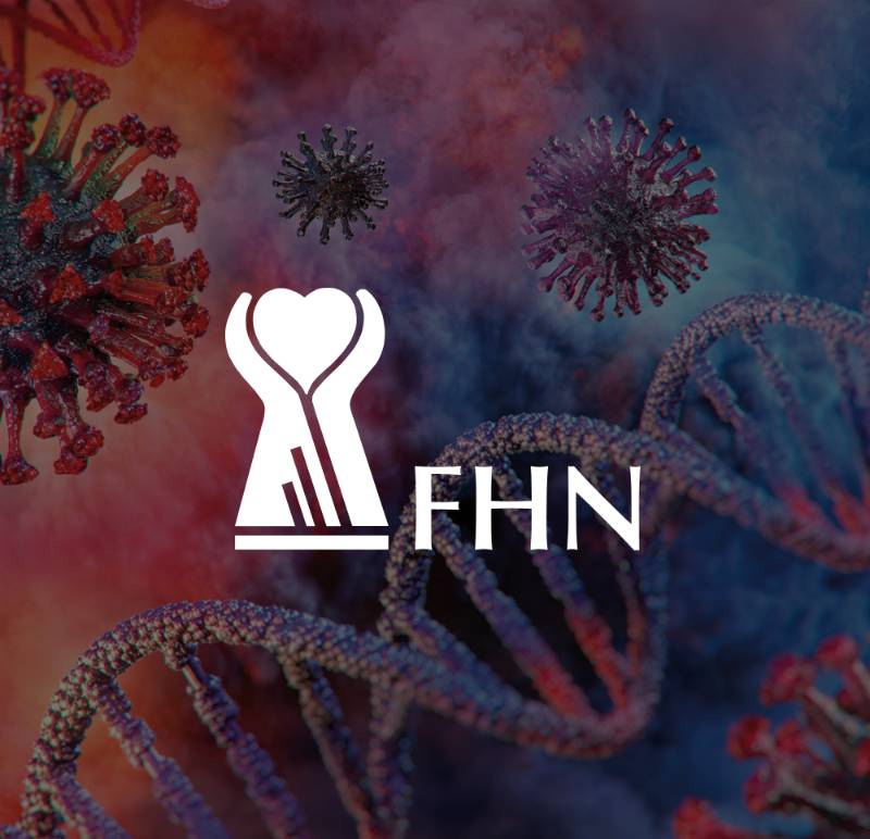 Fhn Crisis Portfolio Box